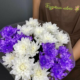 5 кустовых хризантем