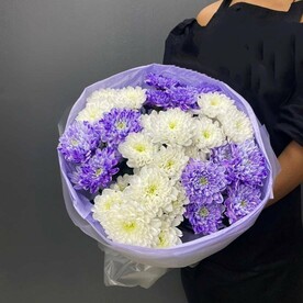 7 кустовых хризантем