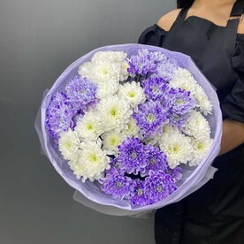 9 кустовых хризантем