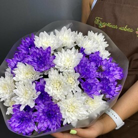 7 кустовых хризантем