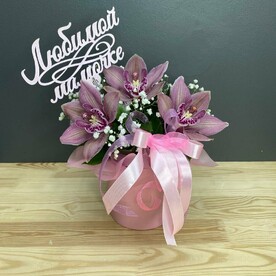 Орхидея в коробке XS