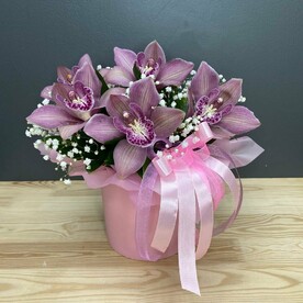 Орхидея в коробке S