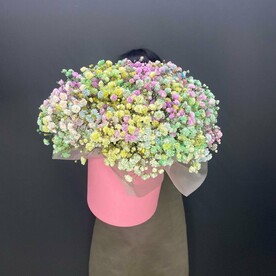 Коробка с гипсофилой микс