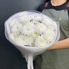 5 Кустовых хризантем