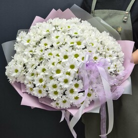 Букет из 25 кустовых хризантем