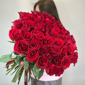 51 красная Роза Эквадор