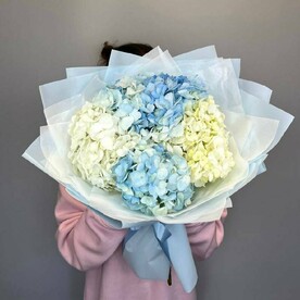 Монобукет голубой и белой гортензии