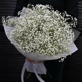 Букет из 11 гипсофил в упаковке