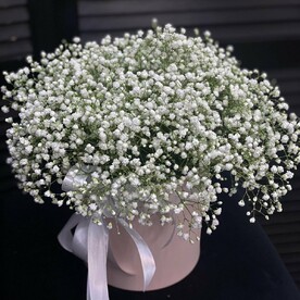 Гипсофила в коробке