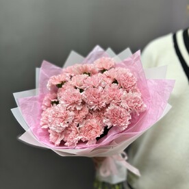 Букет из 33 диантусов (гвоздик)