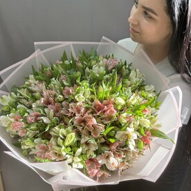 51 альстромерия