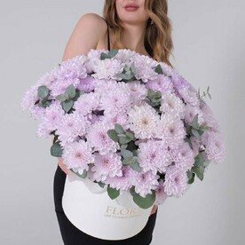 Кустовые лавандовые хризантемы в коробке