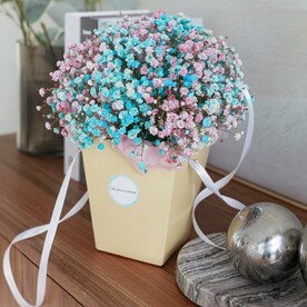 Гипсофила Тутти-Фрутти в сумочке