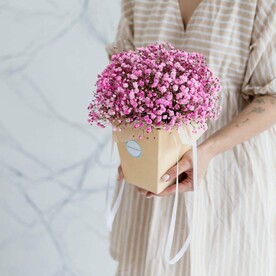 Малиновая сумочка из гипсофилы