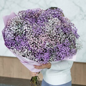 Пудра, гигант из гипсофилы