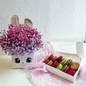 Гипсофила «Зайка моя» + пирожное Макарун набор