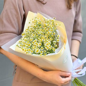 Букет «Просто ромашки» из кустовых ромашек (матрикарии)
