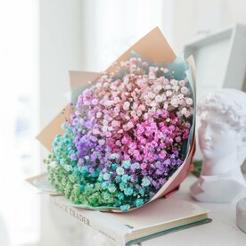 Радужная Гипсофила