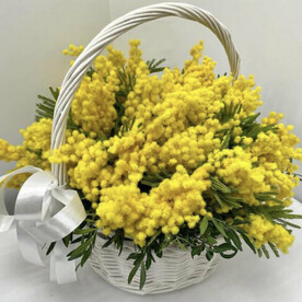Корзинка мимозы