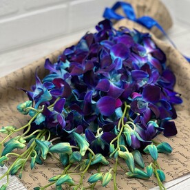 Сердца Океана