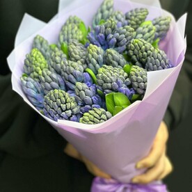 Букет из гиацинтов