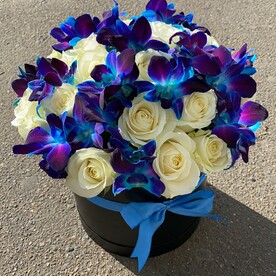 Сюрприз года