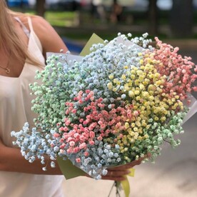 Букет "Облако из цветной гипсофилы"