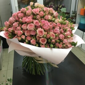 Роза кустовая 101