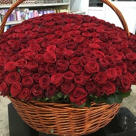 501 Роза корзина