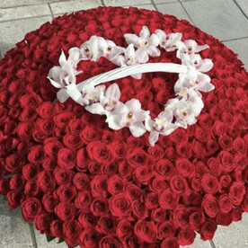 Семестр тысячи слов