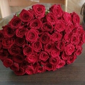 Роза признание