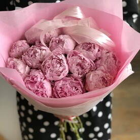 Букет из 15 пионов Сара Бернард