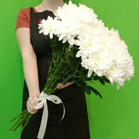 Хризантема Кустовая белая