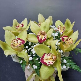 Композиция из ароматных орхидей