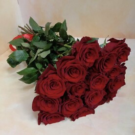 Букет эквадорских роз Эксплоер 17 шт