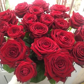 21 Ред наоми