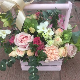 Ящик «Соблазнитель»