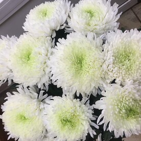 Букет «Антонов»