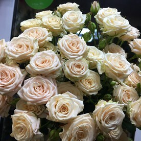 Букет кремовых кустовых роз