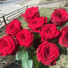 Ред наоми 9 шт