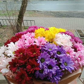 Букет кустовых хризантем «МИКС 11»
