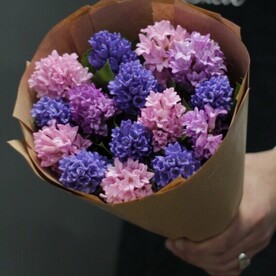 Гиацинт МИКС