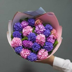 Гиацинт МИКС 21