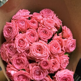 Кустовая Пионовидная роза Барбадос в крафте