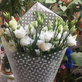 Эустома 7 шт