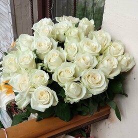 25 роз Аваланш