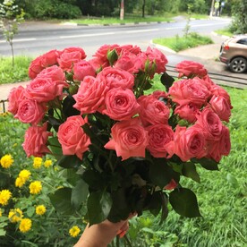 Кустовая роза Барбадос 11 шт