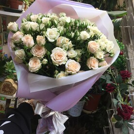 Роза кустовая крем грация