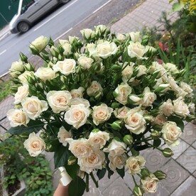 21 кустовая роза