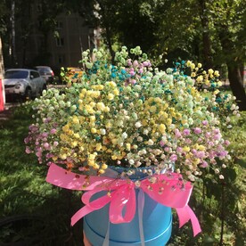 Коробка с гипсофилой